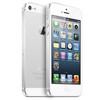 Apple iPhone 5 64Gb white - Нижнеудинск
